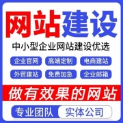 网站建设网页设计与制作网站商城模板一条龙全包企业搭建网站开发